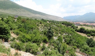 Trebinje, Vinogradi, Bosnia and Herzegovina, ,Zemljište - Građevinski plac,Prodaja,Vinogradi,Vinogradi,1138