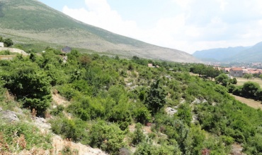 prodaja građevinska parcela, plac, Trebinje, Podglivlje