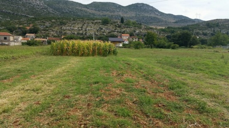 prodaja, kuća na prodaju, Trebinje, Donje Čičevo, kamena kuća na prodaju, poljoprivredno zemljište