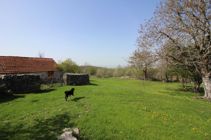 Bileća, Baljci, Bosnia and Herzegovina, ,Kuća - prodaja,Prodaja, imanje