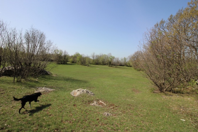 Bileća, Baljci, Bosnia and Herzegovina, ,Kuća - prodaja,Prodaja, imanje