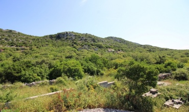 prodaja, zamlja, Začula, Ravno, imanje