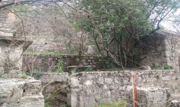 prodaja, zamlja, Začula, Ravno, imanje