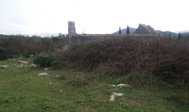 prodaja, zamlja, Začula, Ravno, imanje