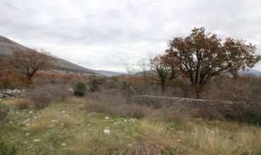 prodaja, zemljište, zemlja, plac, parcela, Trebinje, Gomiljani