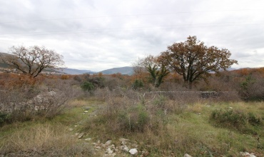 prodaja, zemljište, zemlja, plac, parcela, Trebinje, Gomiljani