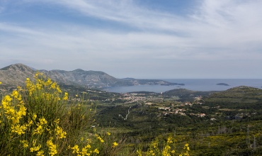 vila, Ivanica, Dubrovnik, bazen, vila s bazenom, bosna i hercegovina