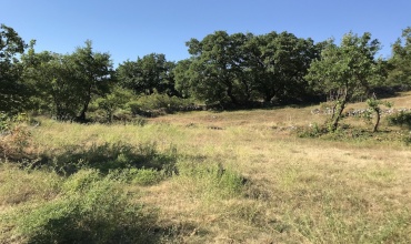 prodaja, zemljište, plac, građevinski plac, Trebinje, Vinogradi