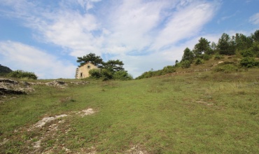 Prodaja, zemlja, Trebinje, Lastva, na prodaju, zemlja