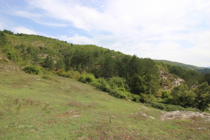 Prodaja, zemlja, Trebinje, Lastva, na prodaju, zemlja