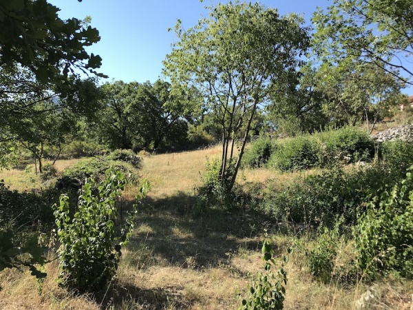 prodaja, zemljište, plac, građevinski plac, Trebinje, Vinogradi