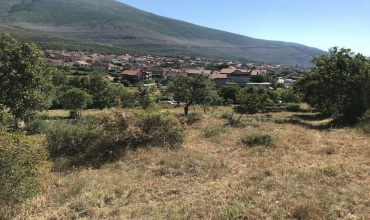 prodaja, zemljište, plac, građevinski plac, Trebinje, Vinogradi