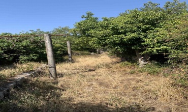 prodaja, kuća, kamena kuća, Pridvorci, Trebinje