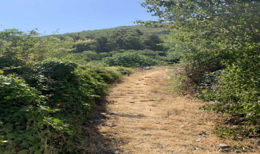 prodaja, zemlja, Pridvorci, zemljište, Trebinje