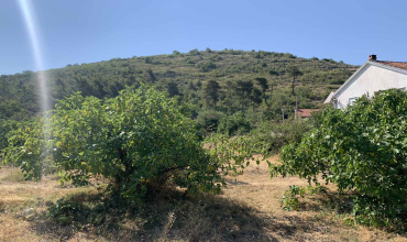 prodaja, zemlja, Pridvorci, zemljište, Trebinje