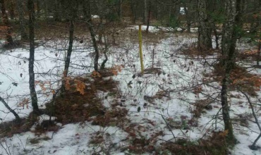 Trebinje, Zubačka ubla, zemljište, prodaja, nekretnina, grajđevinsko zemljište, vikendica