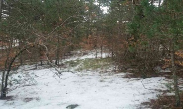 Trebinje, Zubačka ubla, zemljište, prodaja, nekretnina, grajđevinsko zemljište, vikendica