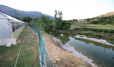 prodaja, imanje, kuća, Trebinje, lastva, voćnjak, na rijeci, rijeka Sušica