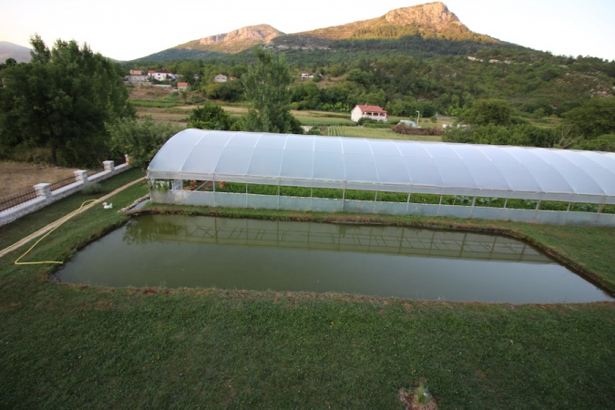 prodaja, imanje, kuća, Trebinje, lastva, voćnjak, na rijeci, rijeka Sušica