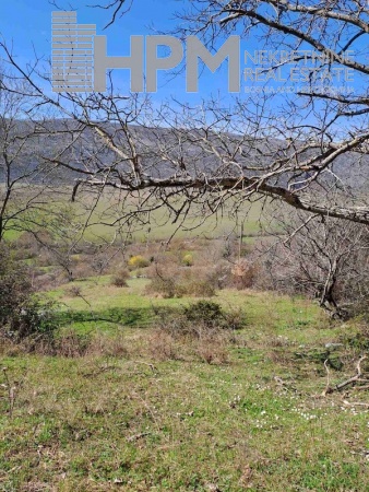 Bileća, Bijeljani, Bosna i Hercegovina, ,Kuća / Vila - prodaja,Prodaja,1517