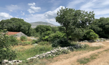 zemlja, parcela, prodaja, Gomiljani, Trebinje