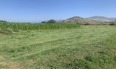 prodaja, zemljište, poljoprivredno zenljište, Trebinje, Bihovo