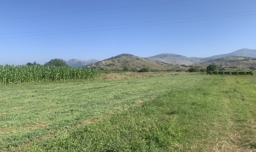 prodaja, zemljište, poljoprivredno zenljište, Trebinje, Bihovo