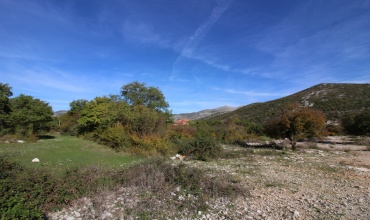 Nekretnine, prodaja, Trebinje, zemljište, plac, parcela, Petrovo Polje