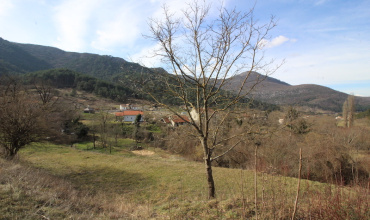 prodaja, plac, kuća, imanje, vinarija, vinograd, Lastva, Trebinje.