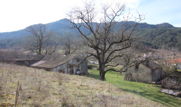 prodaja, plac, kuća, imanje, vinarija, vinograd, Lastva, Trebinje.