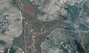 prodaja, poljoprivredno zemljište, Popovo Polje, Ravno, Strujići, voćnjak šipaka, plantaža šipaka
