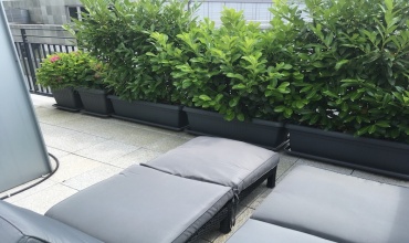 Trier, Germany, 2 Bedrooms Bedrooms, 3 Rooms Rooms,1 BathroomBathrooms,Apartment - holiday rentals,Holiday rentals,1061