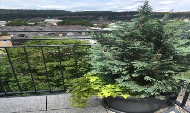 Trier, Germany, 2 Bedrooms Bedrooms, 3 Rooms Rooms,1 BathroomBathrooms,Apartment - holiday rentals,Holiday rentals,1061