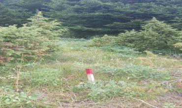 Bjelašnica, zemlja, prodaja, Olimpijski centar Bjelašnica, zemlja, prodaja, Olimpijski centar