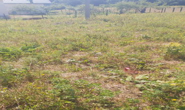 Bjelašnica, zemlja, prodaja, Olimpijski centar