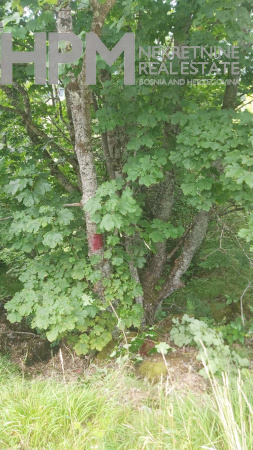 Bjelašnica, zemlja, prodaja, Olimpijski centar