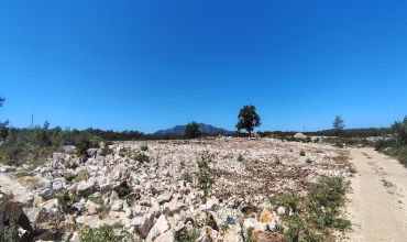 prodaja, parcela, građevinska parcela, Trebinje, Tvrdoš prodaja, parcela, građevinska parcela, Trebinje, Tvrdoš