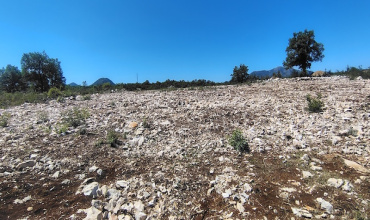prodaja, parcela, građevinska parcela, Trebinje, Tvrdoš prodaja, parcela, građevinska parcela, Trebinje, Tvrdoš