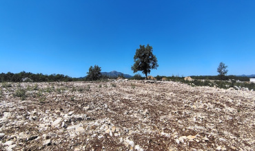 prodaja, parcela, građevinska parcela, Trebinje, Tvrdoš prodaja, parcela, građevinska parcela, Trebinje, Tvrdoš