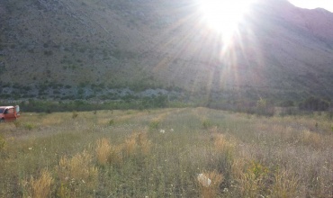 prodaja, poljoprivredno zemljište, Popovo Polje, Ravno, Strujići, voćnjak šipaka, plantaža šipaka